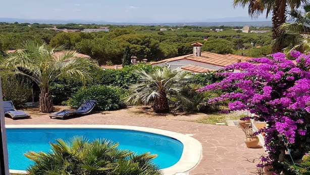 A pool surrounded by lush greenery and a view of distant buildings.