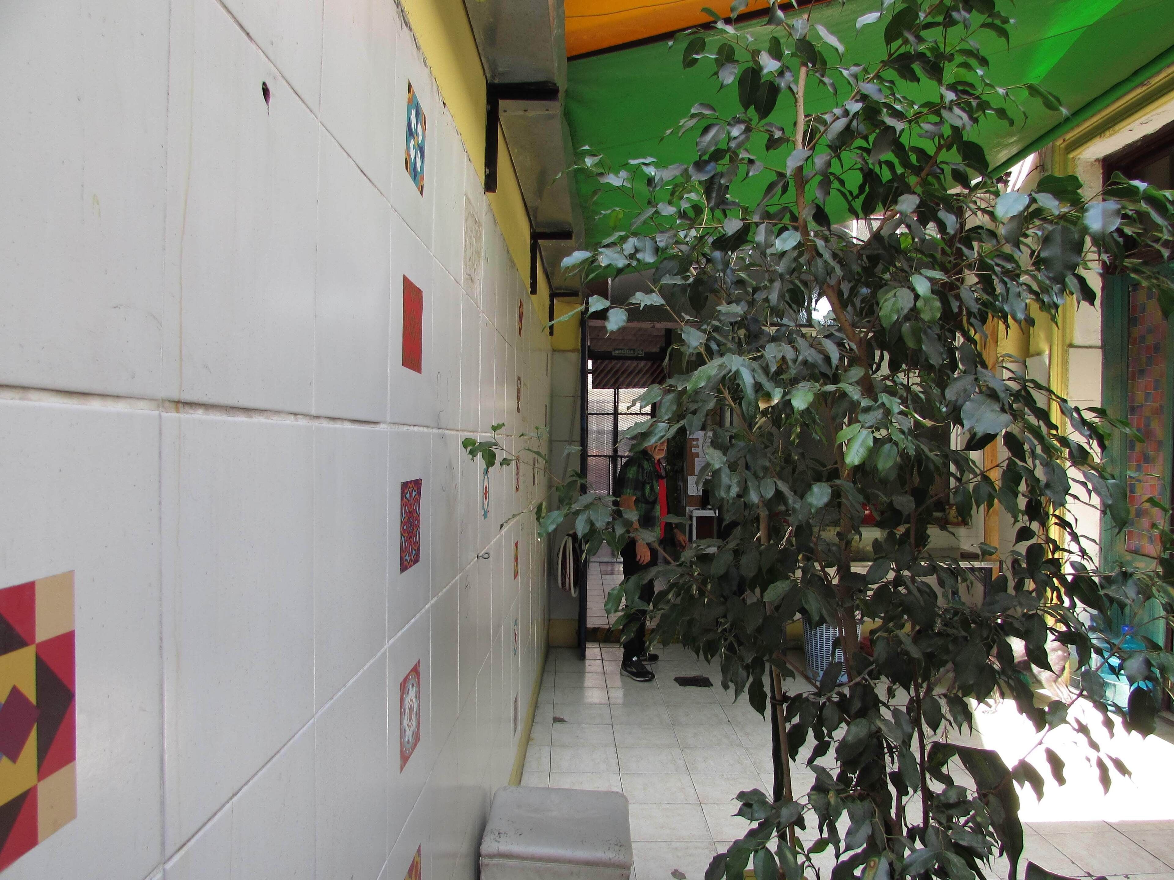 Foto - Hospedaje La Rana