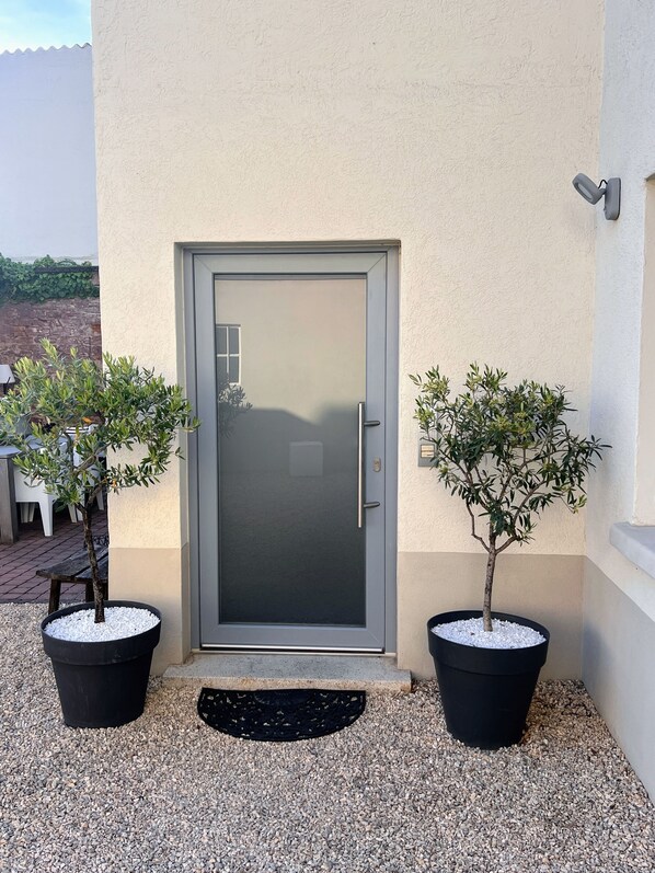 Een moderne gevel met een grijze deur, aan weerszijden elk een pot met planten, en een klein trapje naar de deur.