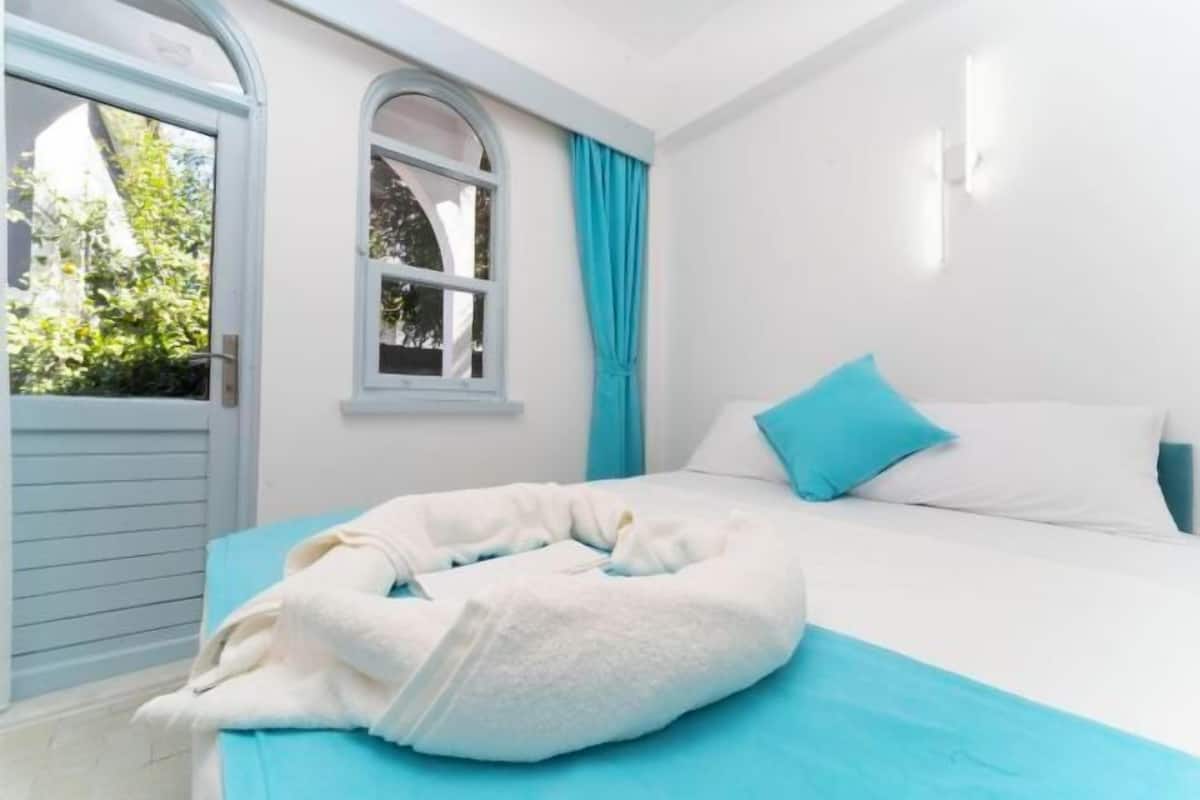 2 quartos, roupas de cama de algodão egípcio, roupas de cama premium