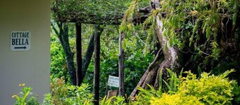 Inn on the Vumba Hotel