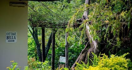 Inn on the Vumba Hotel