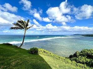Plage à proximité, chaises longues, serviettes de plage