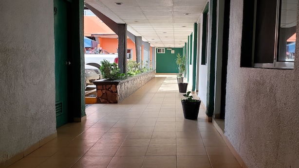 Un pasillo con suelo de baldosas, paredes verdes y plantas en macetas.