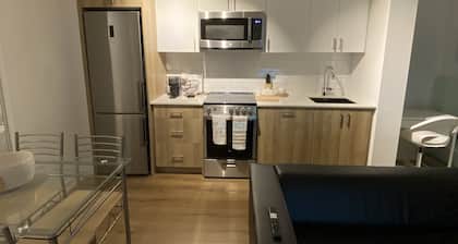 Chic 1-Bedroom Apartment for Short-Term Rental in Etobicoke! NEW!!!