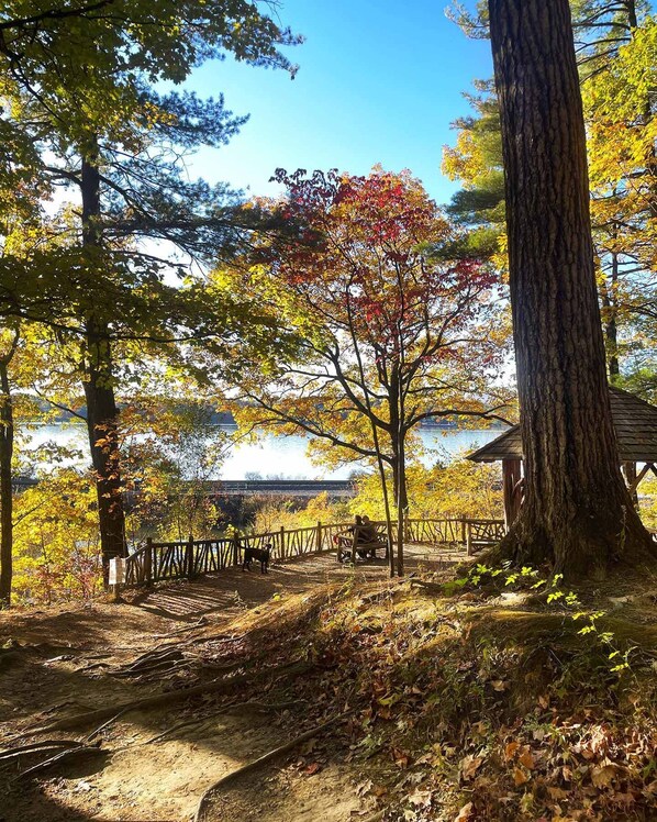 A park with a wooden bench, a dog, and a wooden structure in the background.