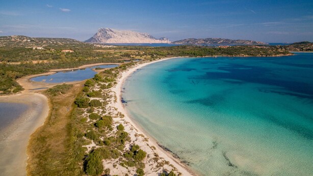Eine Vogelperspektive einer Küstenlandschaft mit klarem türkisfarbenem Wasser, einem Sandstrand und einem gebirgigen Hintergrund.