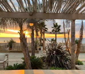A beachside patio with a wooden pergola, palm trees, and a sign reading "La Casa Bocar".
