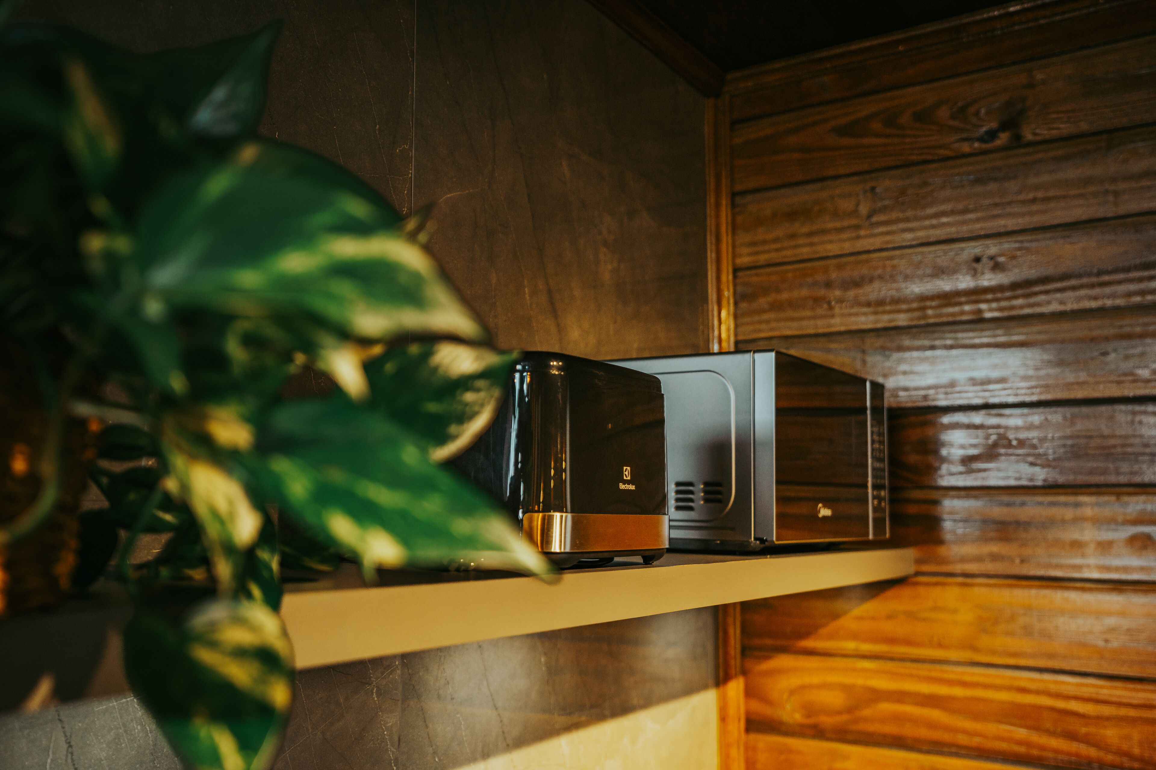A microwave on a wooden shelf in a kitchen with a potted plant to the left.