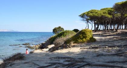 Villa in Budoni with 3 bedrooms sleeps 8