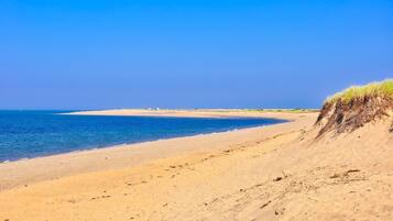 Tumbonas y toallas de playa