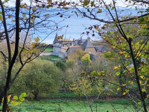 Property grounds - La Horen - Plerin - Gîte (PLERIN)
