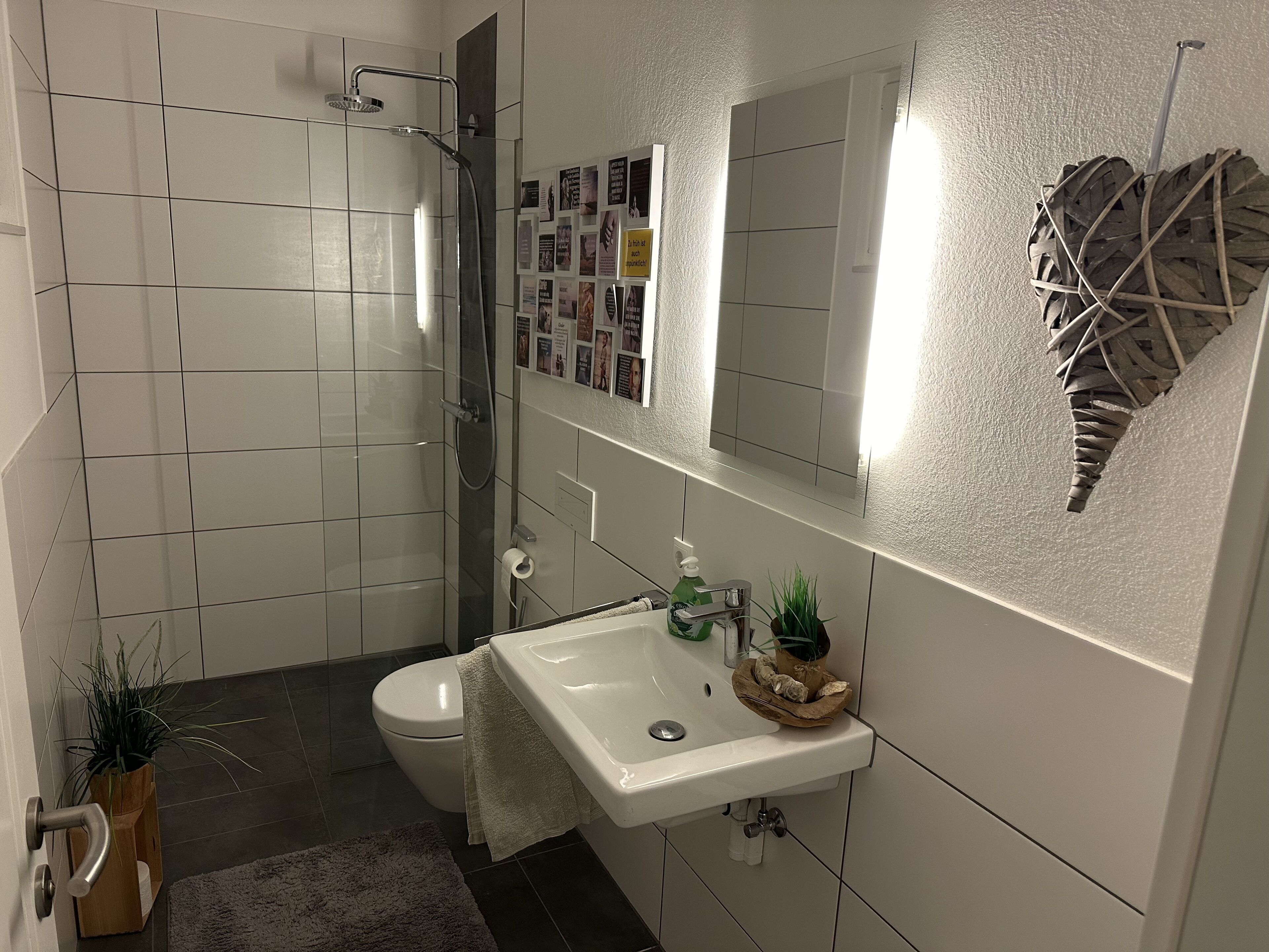 Shower, towels, soap, toilet paper