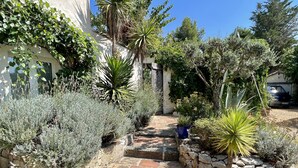 A garden with a stone pathway leading to a white building, surrounded by various plants and a parked car.
