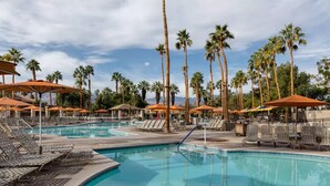 A pool area with lounge chairs and umbrellas, surrounded by tall palm trees.