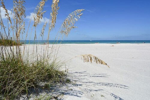 The Seaside Cottages are located just across the street from Indian Rocks Beach!