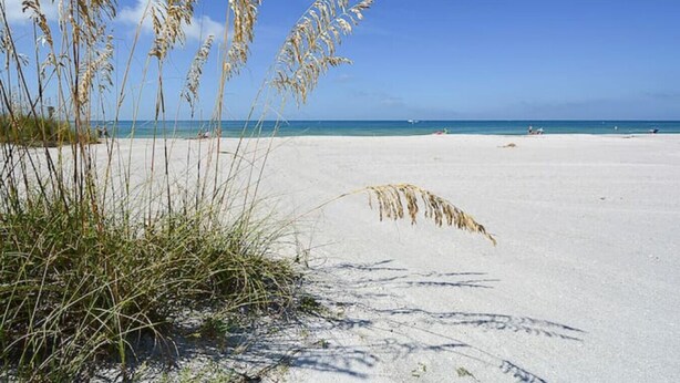 Een strand met zand en weinig begroeiing.