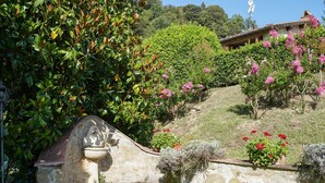 A stone fountain, lush greenery, and a hillside with flowering plants. - La Vista by Interhome (Vicchio)