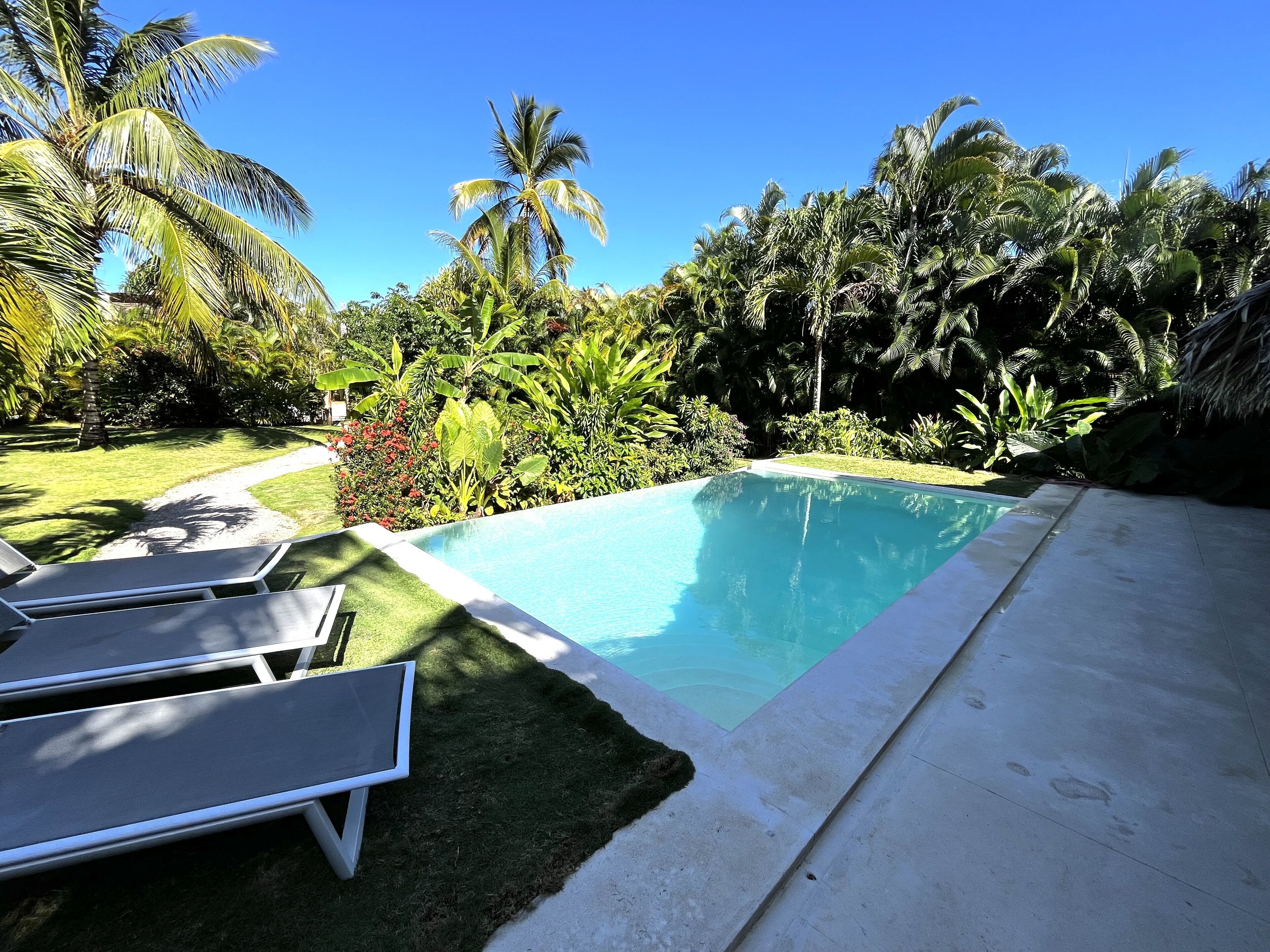 Une piscine dotée d’un bord en béton, entourée d’une végétation luxuriante et de palmiers.