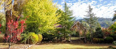 花園