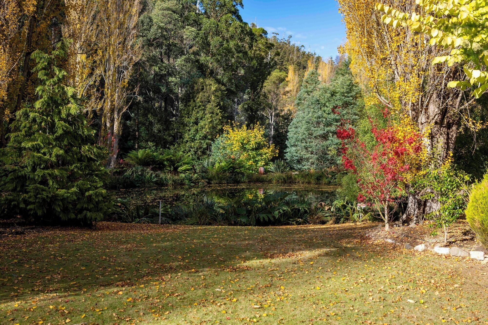 A serene park with a pond, surrounded by trees in autumn colors.