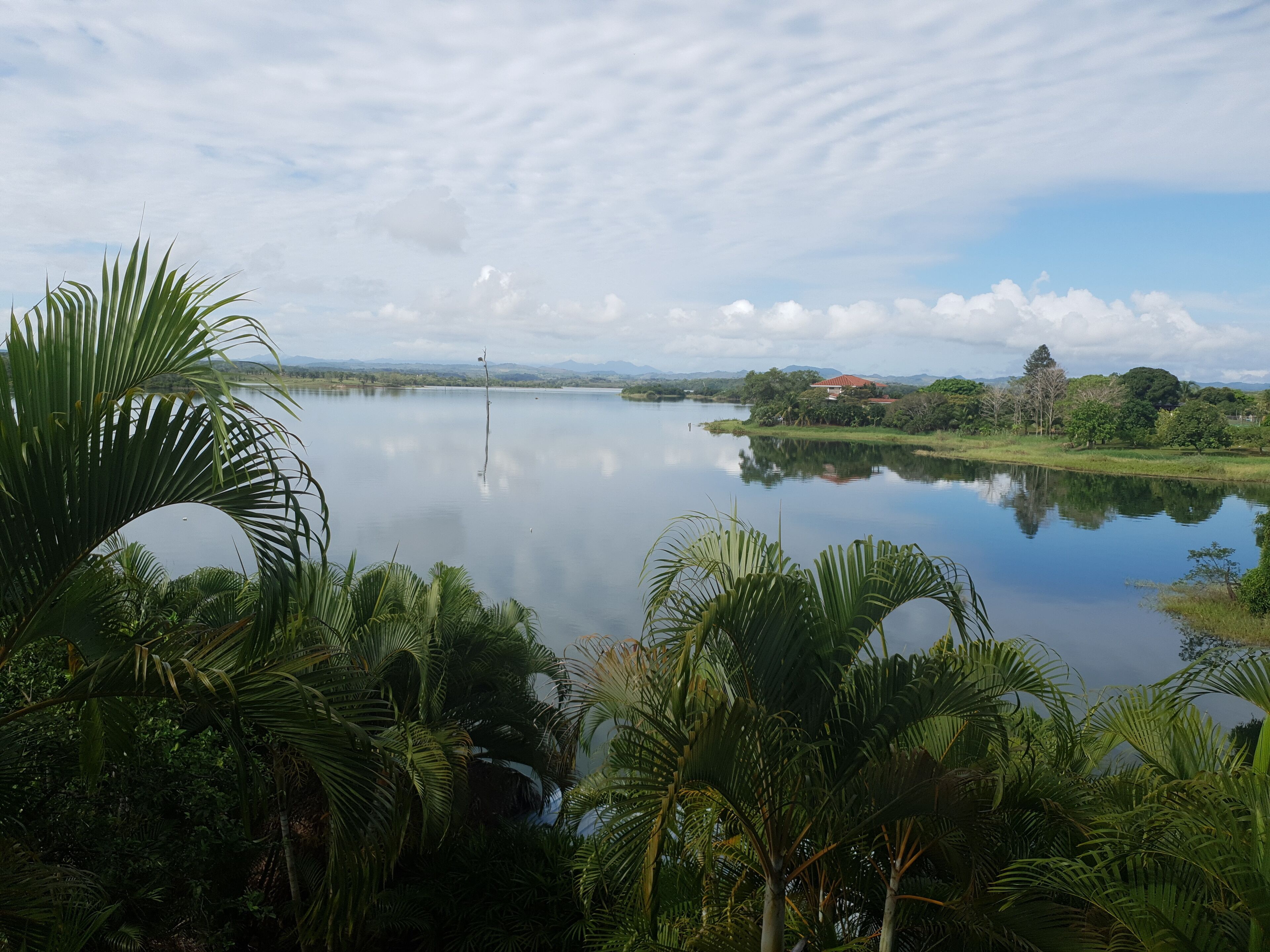 Un lac paisible, entouré d’une végétation luxuriante, avec une maison qui se devine au loin.