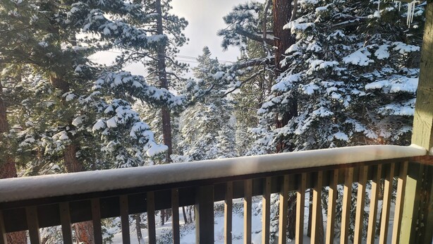 Property grounds - Spacious cozy condo with large loft , Near Both Canyon Lodge & Village (Mammoth Lakes)