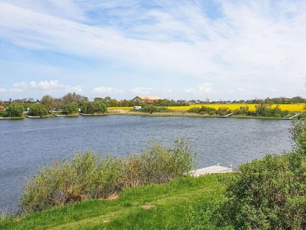 Un lac paisible, avec une prairie verdoyante au premier plan et un champ jaune en arrière-plan.
