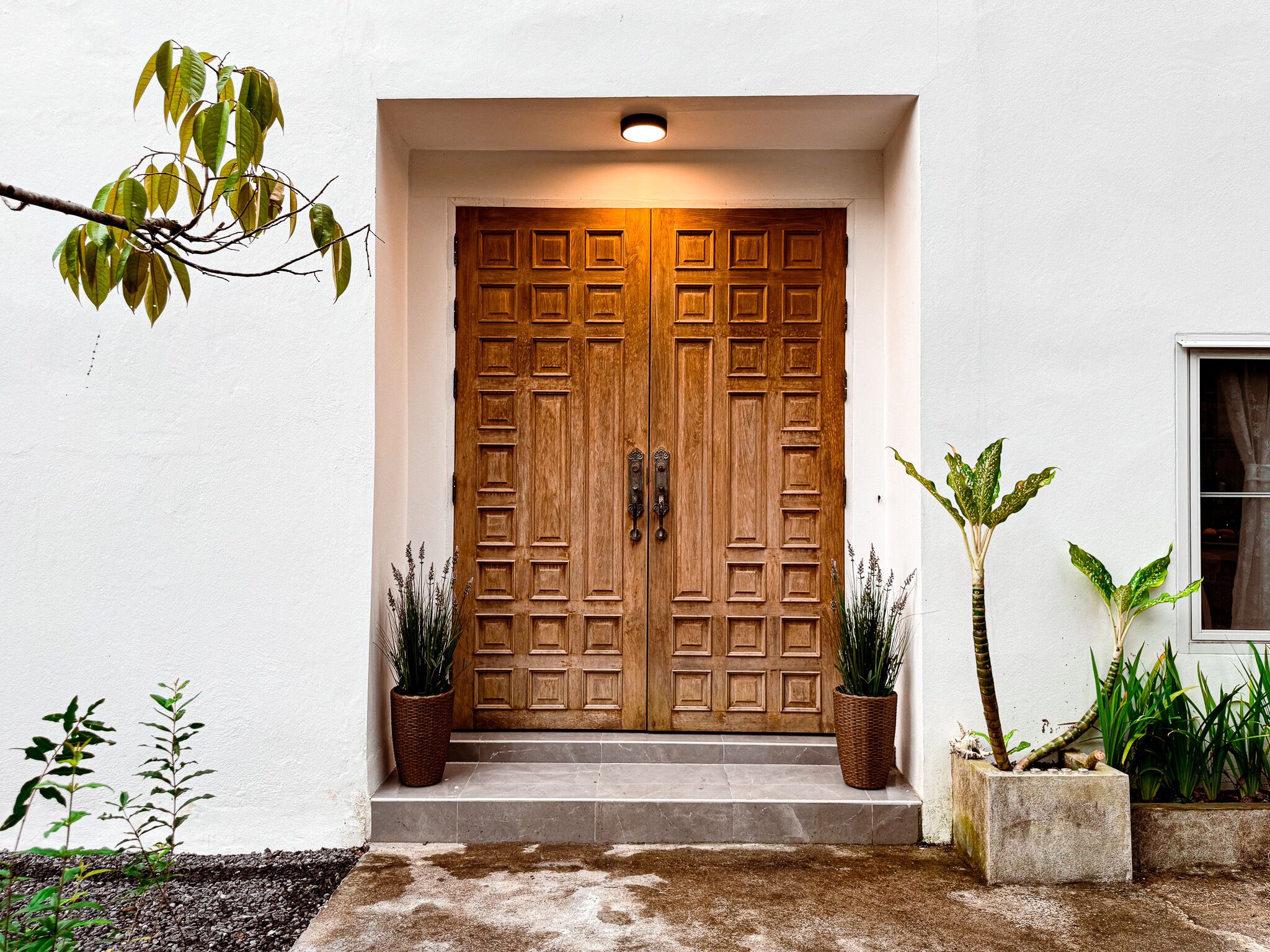 Detalle del exterior