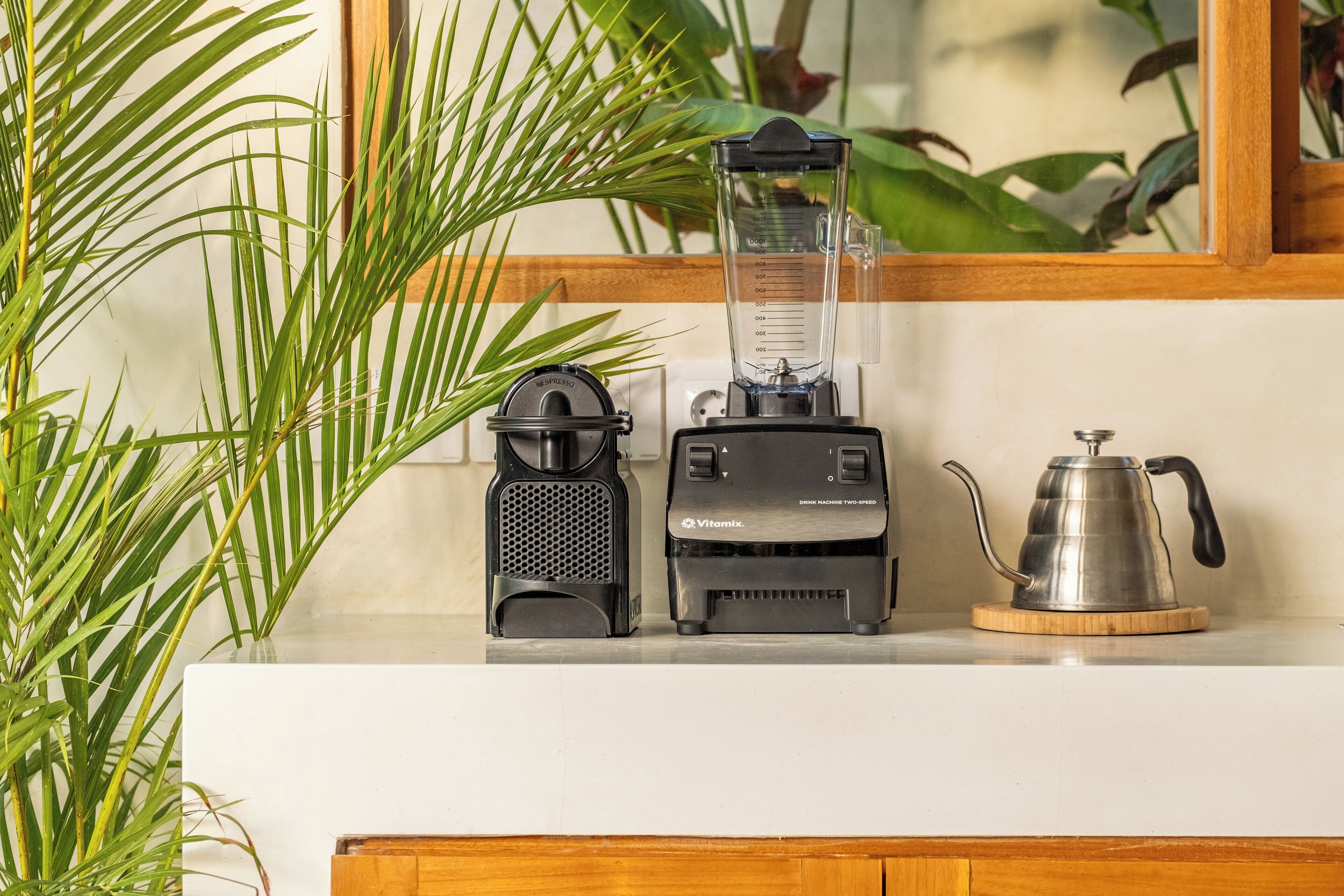 A kitchen counter with a blender, a coffee maker, and a potted plant.