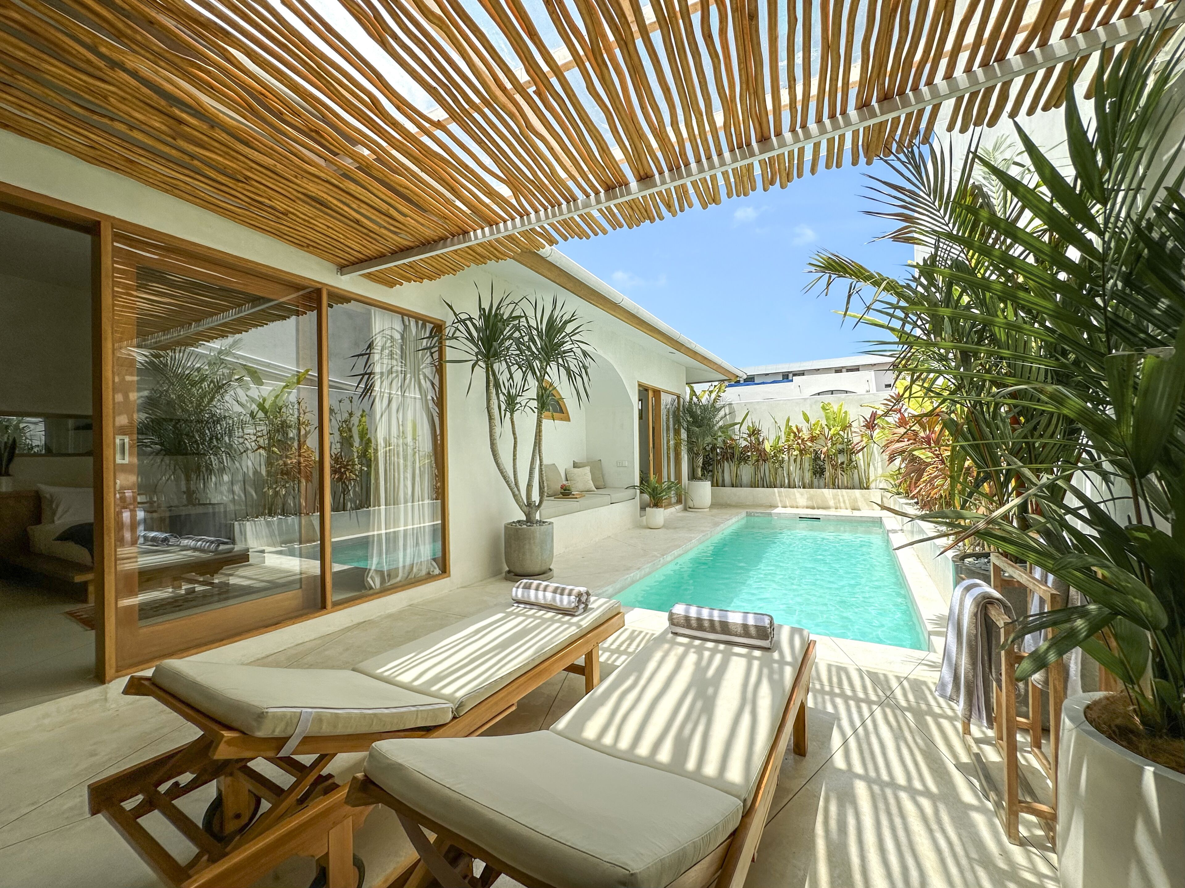 Outdoor pool, sun loungers