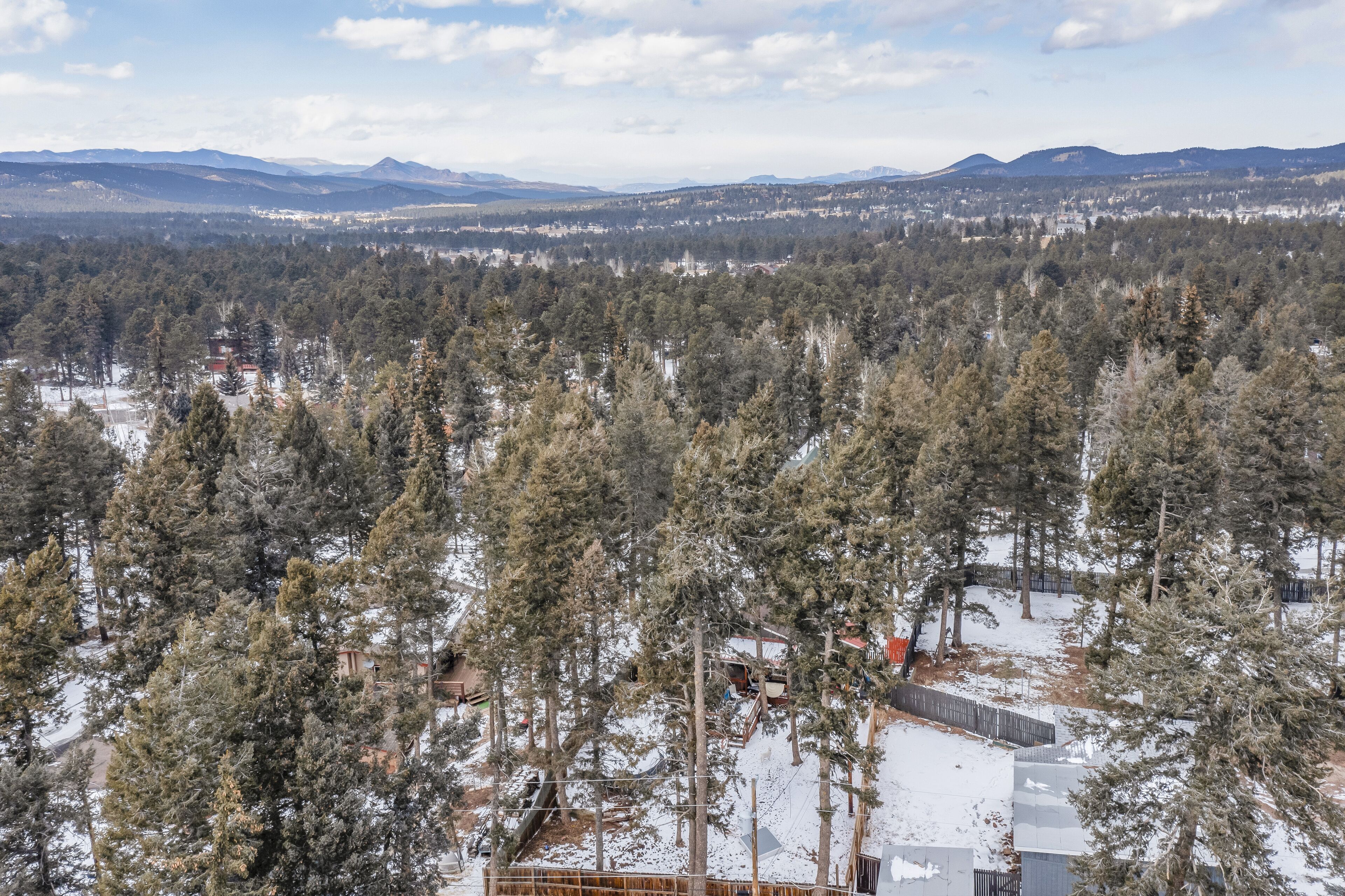 A forested area with a view of distant mountains.