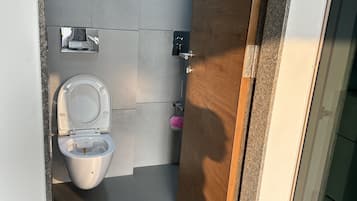 Regadera, toallas, jabón, shampoo