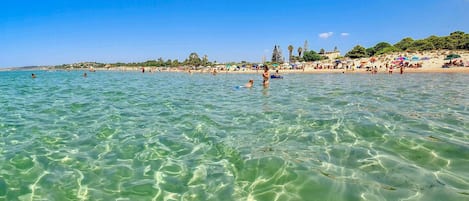 Plage à proximité