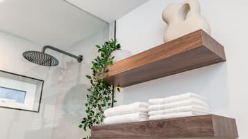 Shower, hair dryer, bidet, towels