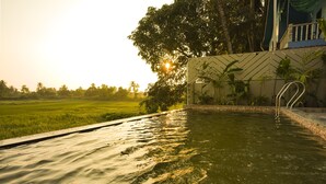 Piscina con escalera metálica, rodeada de vegetación exuberante y vistas a un campo lejano.