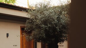 Une table et une chaise en bois, placées dans un coin, avec une grande plante en pot à proximité.