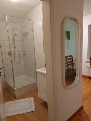Shower, hair dryer, towels