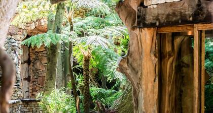 Wonderland Cape Town