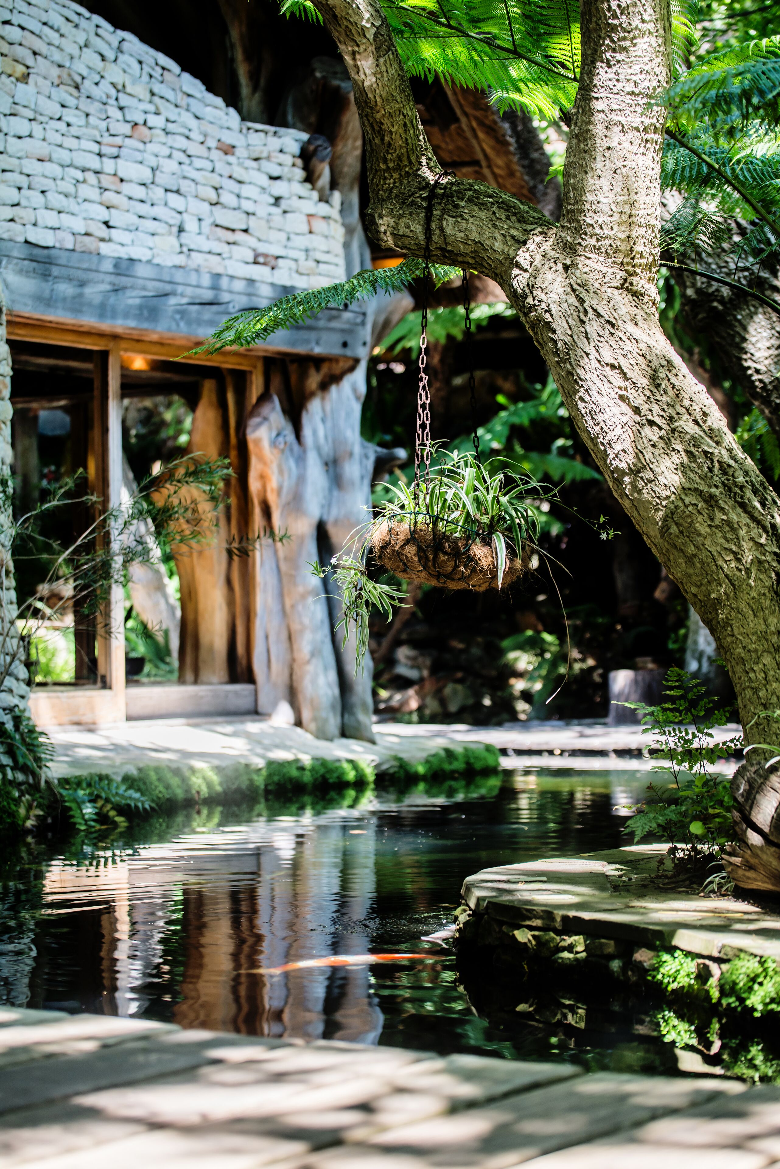A tranquil garden with a pond, stone walls, and hanging plants.