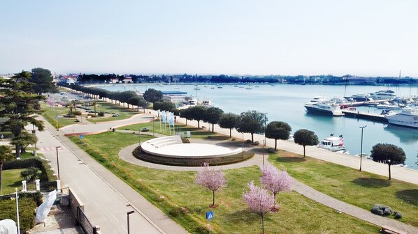 Stroll along the waterfront promenade, lined with trees and a clear path for pedestrians, offering scenic views of the marina with boats docked.