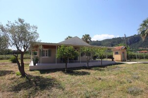 1 habitación 
