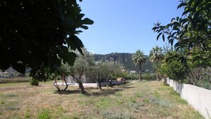 An outdoor area with grass, trees, and a concrete wall. - Olga Home Agios Ioannis Lefkada - Lefkada BnB (Lefkada)