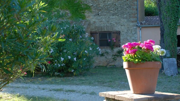 Overnattingsstedets uteområder