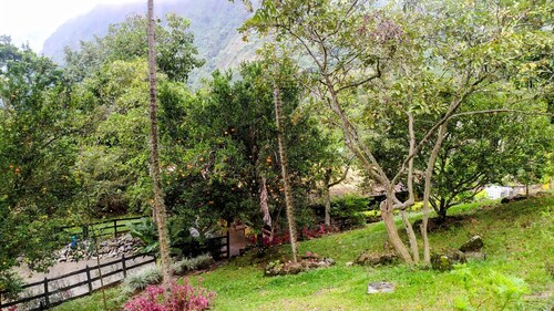 las gitanas, en medio de colores, paisajes maravillosos y animales de granja