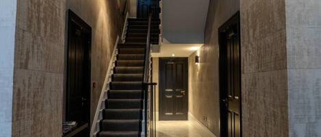 Apartment | Interior