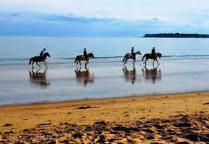 Praia
