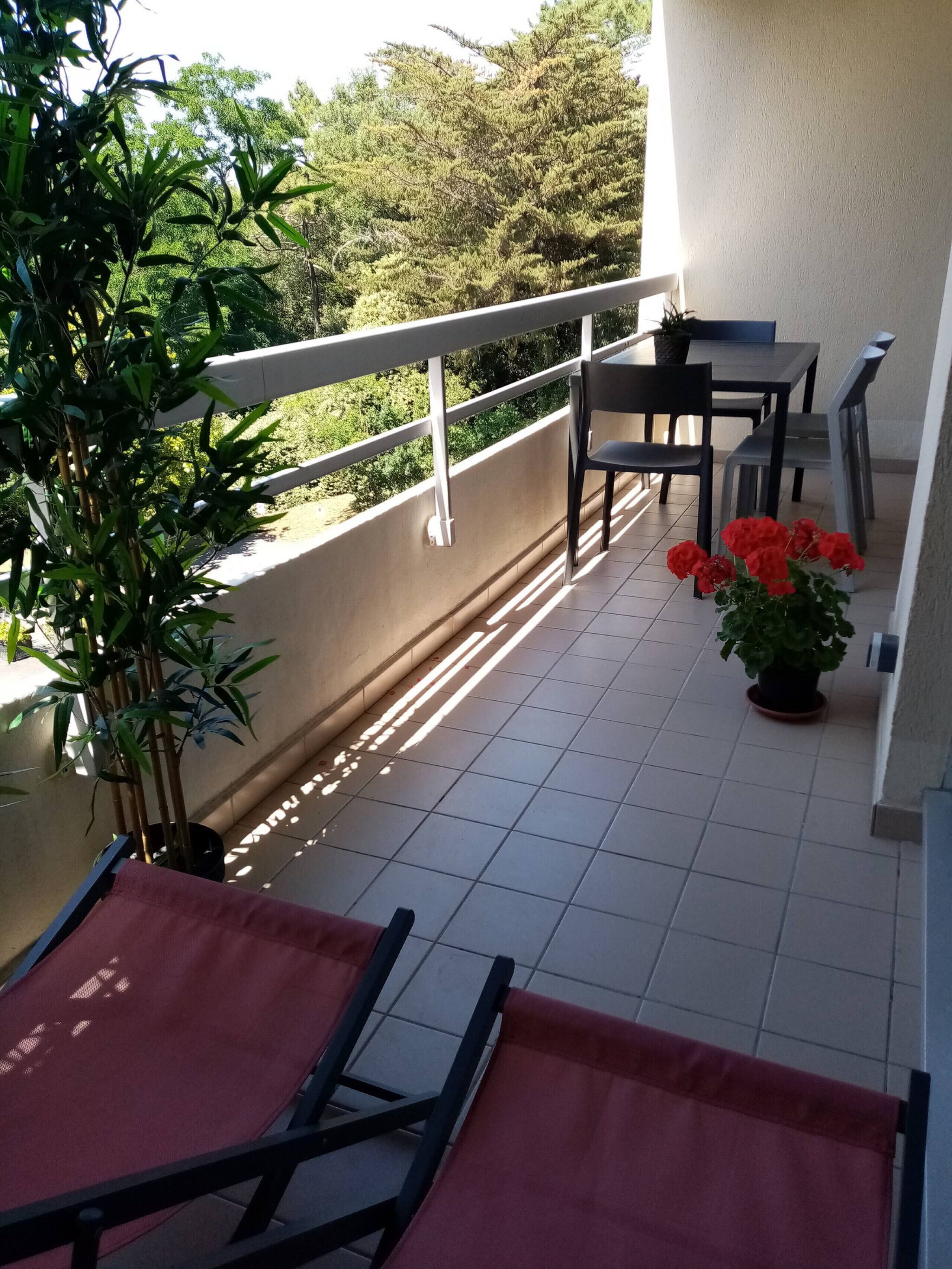 A balcony with a table and chairs, a potted plant with red flowers, and a bamboo plant.