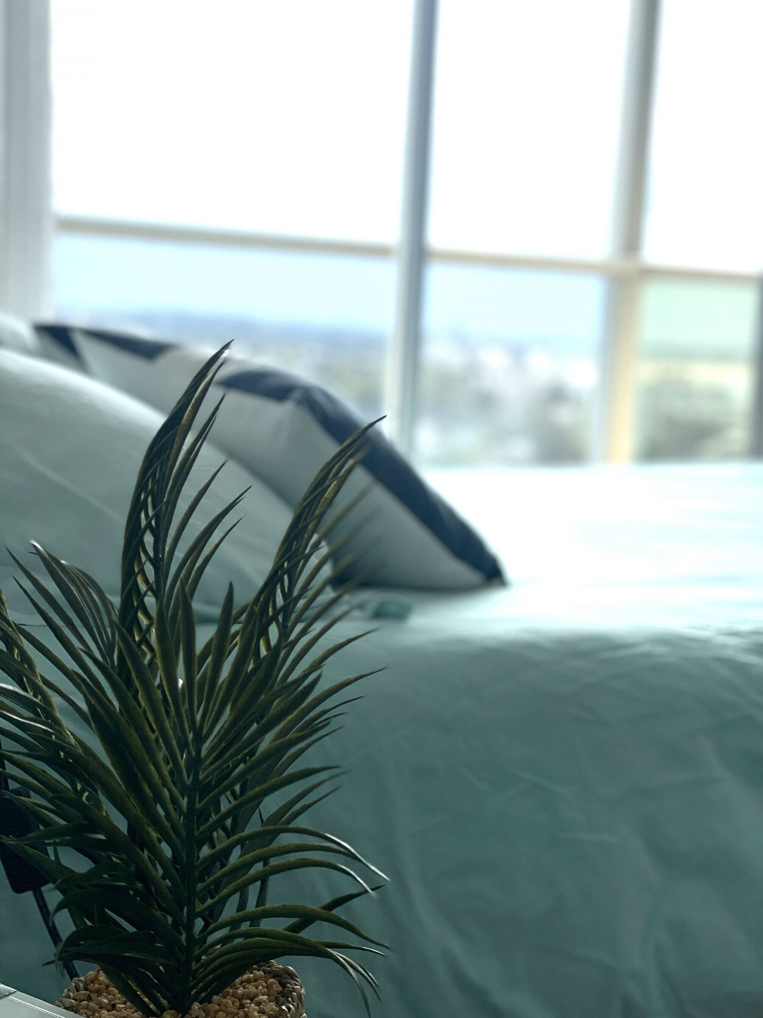 3 habitaciones, tabla de planchar con plancha y wifi gratis 