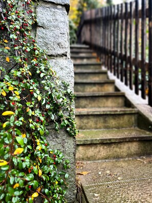 Property grounds - Ferienhaus Wachwitzgrund (Dresden)